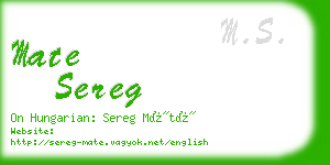 mate sereg business card